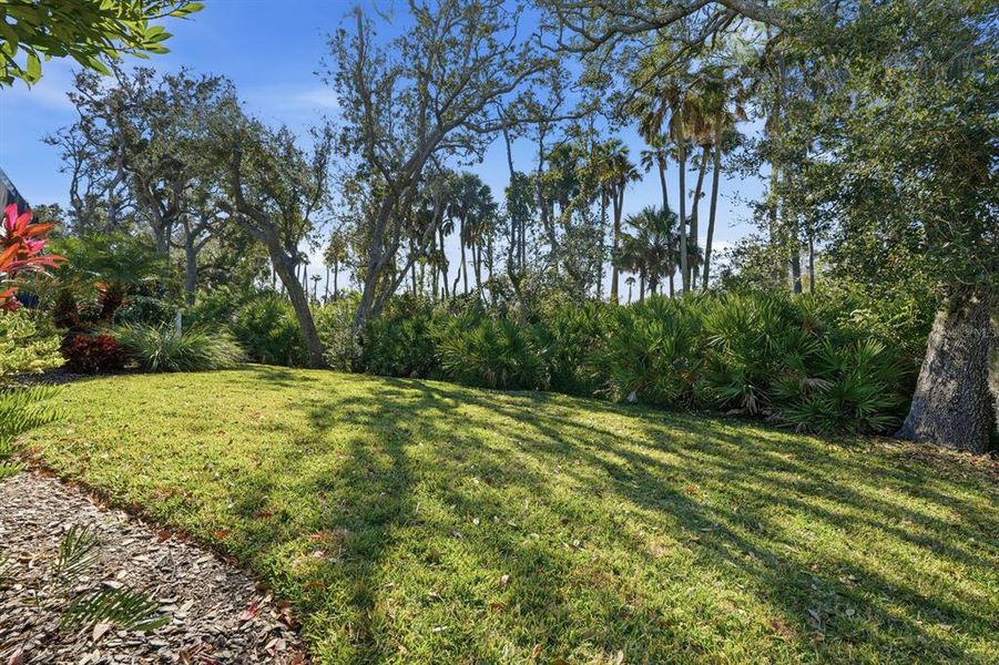 Natural landscape and outdoor views near  in Palm Coast (Image 72).