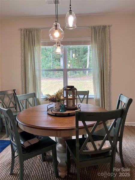 Furnished interior view inside a new home in , Lyman (Image 3).
