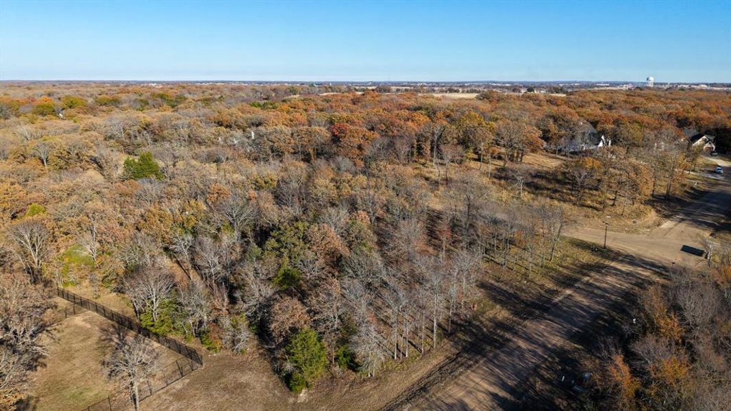 Natural landscape and outdoor views near  in Mabank (Image 10).