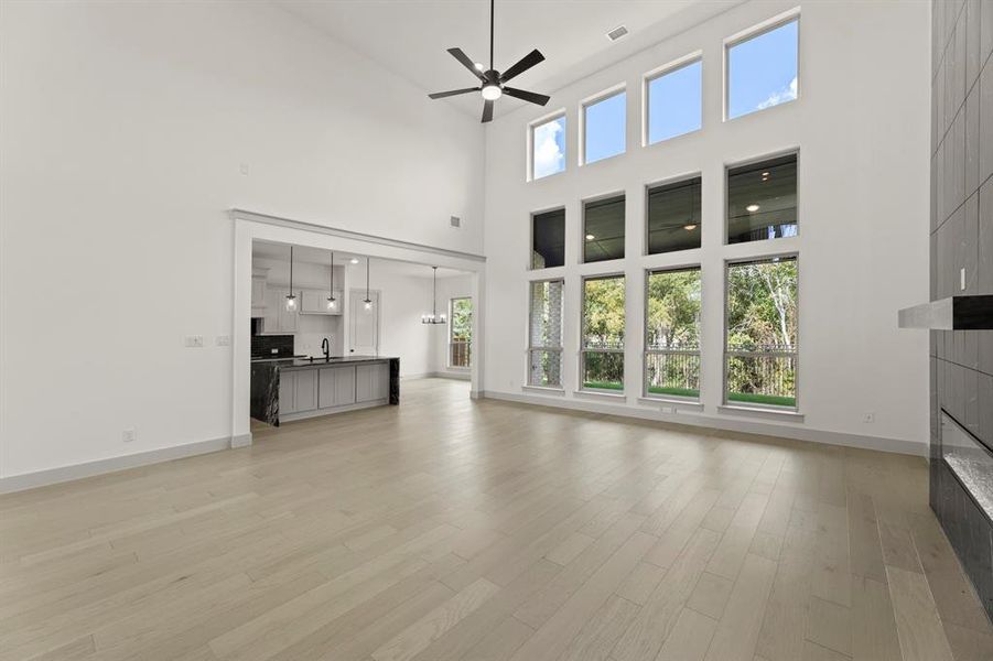 07. 903 Stellar - Family