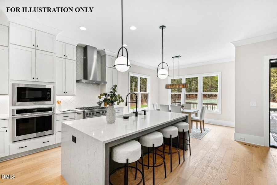 FOR ILLUSTRATION ONLY (46)