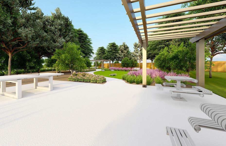 Community Photo Community Photo