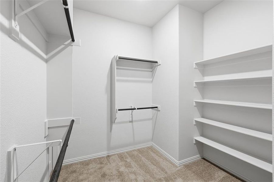 Spacious closet featuring light carpet Spacious closet featuring light carpet