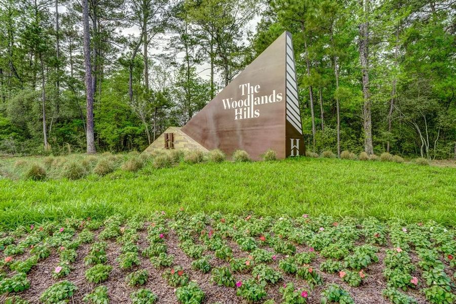 Image 31 of a home in The Woodlands Hills 65′.