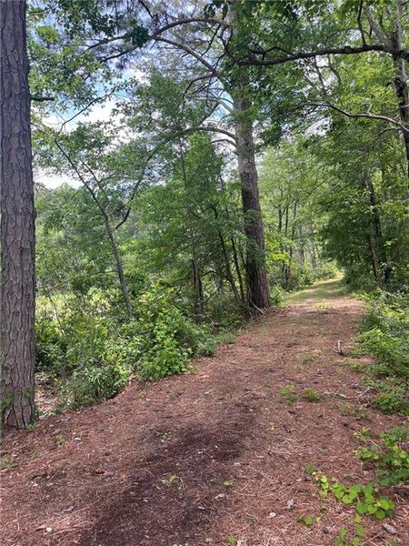Natural landscape and outdoor views near Linden Grove in Powder Springs (Image 30). Natural landscape and outdoor views near Linden Grove in Powder Springs (Image 30).