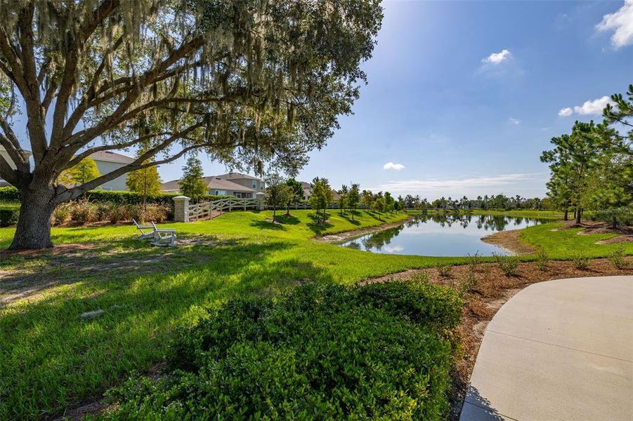 Natural landscape and outdoor views near Farm at Varrea in Plant City (Image 64). Natural landscape and outdoor views near Farm at Varrea in Plant City (Image 64).