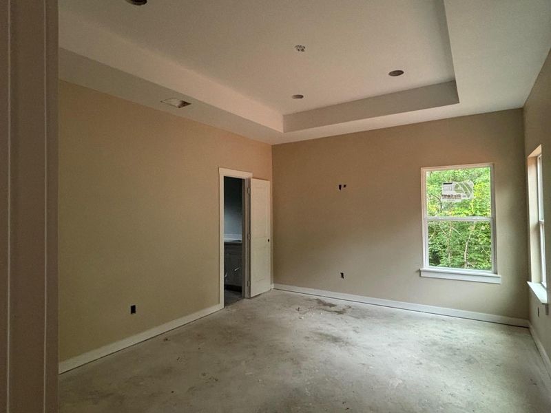 Primary bdrm with tray ceiling.