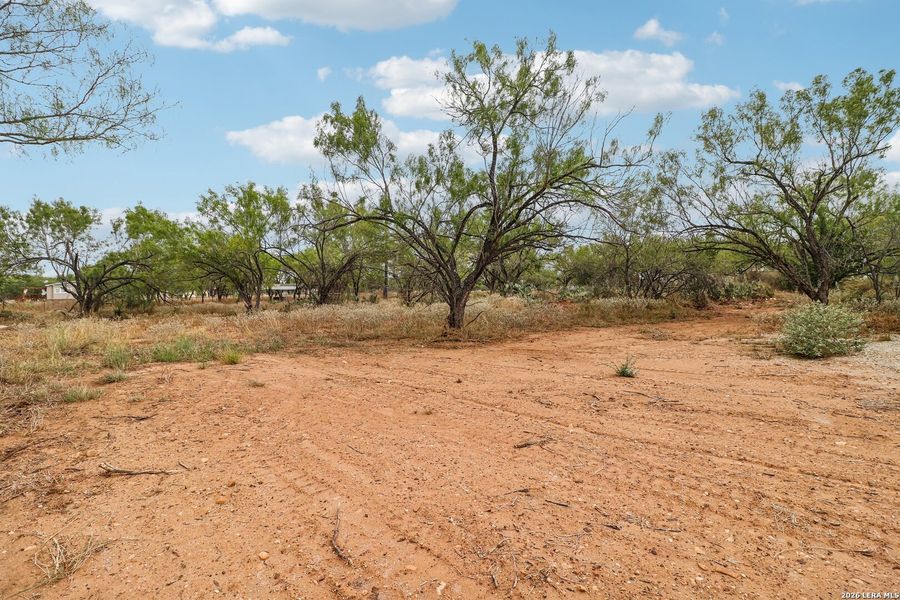 Natural landscape and outdoor views near in Devine (Image 39). Natural landscape and outdoor views near in Devine (Image 39).