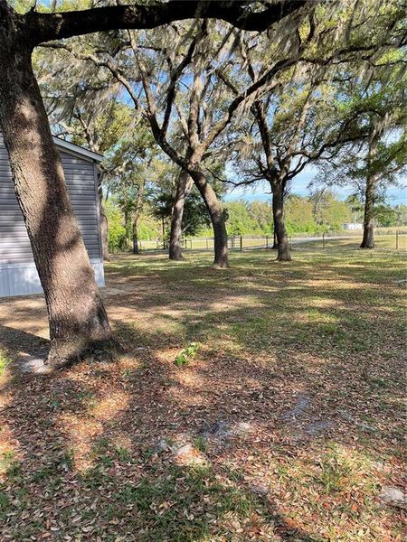 Natural landscape and outdoor views near  in Trenton (Image 13).