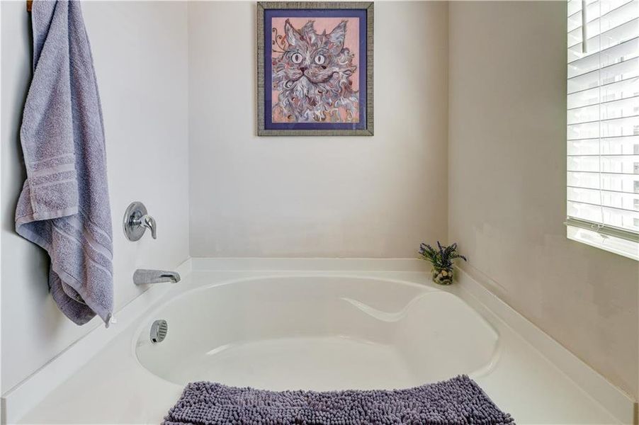 Furnished interior view inside a new home in , Dahlonega (Image 32).