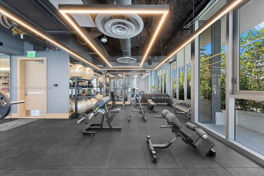 Workout, Machine, Balance & Free Weight Section at Five Park Fitness Center Workout, Machine, Balance & Free Weight Section at Five Park Fitness Center