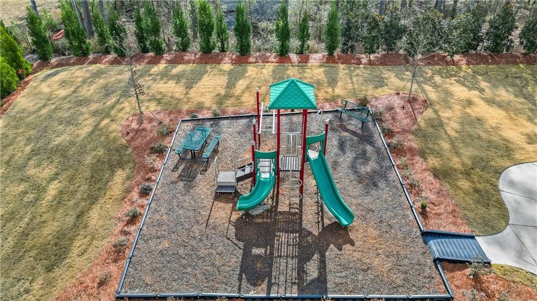 Community amenities in Reunion, Flowery Branch (Image 20).