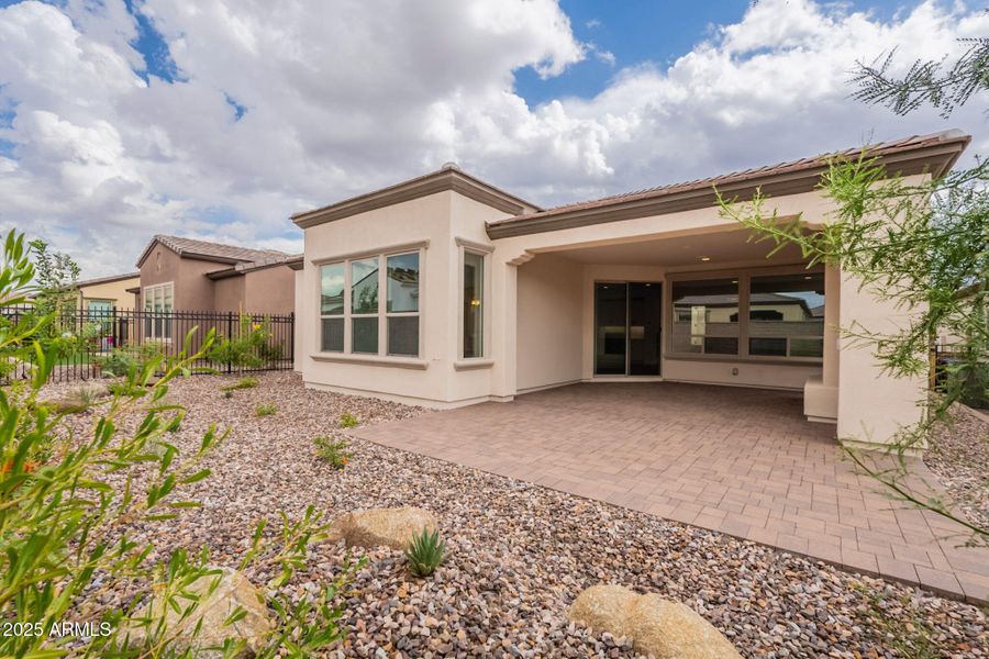 36-web-or-mls-Bittercress-36 36-web-or-mls-Bittercress-36