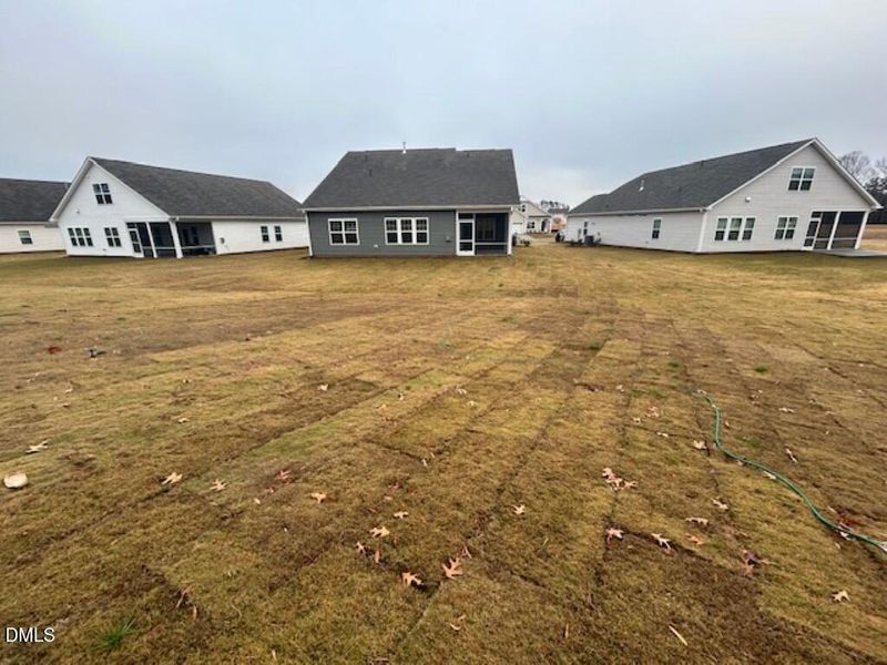 IMG_5053 (Medium) IMG_5053 (Medium)