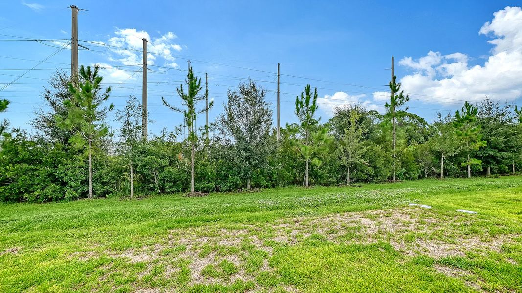 Natural landscape and outdoor views near Vicenza in Nokomis (Image 44). Natural landscape and outdoor views near Vicenza in Nokomis (Image 44).