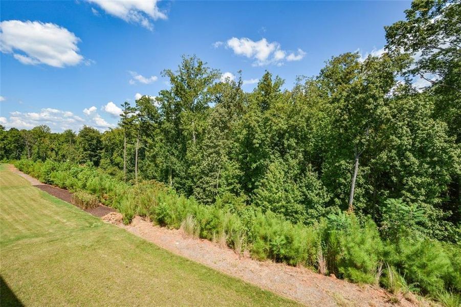 Natural landscape and outdoor views near  in Woodstock (Image 50).