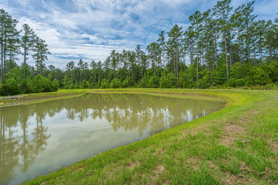 Natural landscape and outdoor views near The Enclave at French Quarter Creek in Huger (Image 66). Natural landscape and outdoor views near The Enclave at French Quarter Creek in Huger (Image 66).
