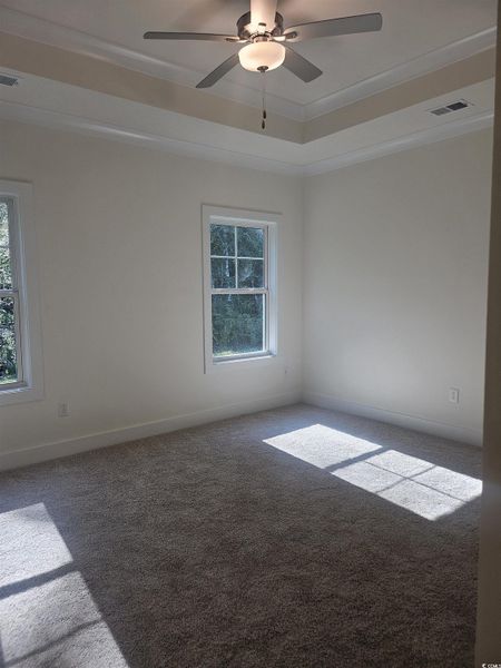 Empty room with healthy amount of natural light, a tray ceiling, carpet floors, a ceiling fan, and ornamental molding Empty room with healthy amount of natural light, a tray ceiling, carpet floors, a ceiling fan, and ornamental molding