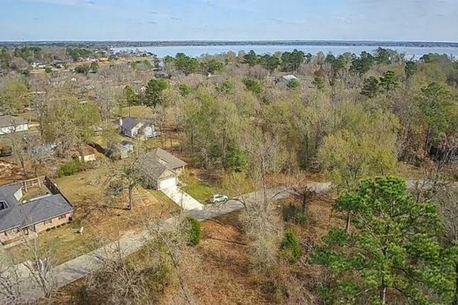 Natural landscape and outdoor views near  in Livingston (Image 23).