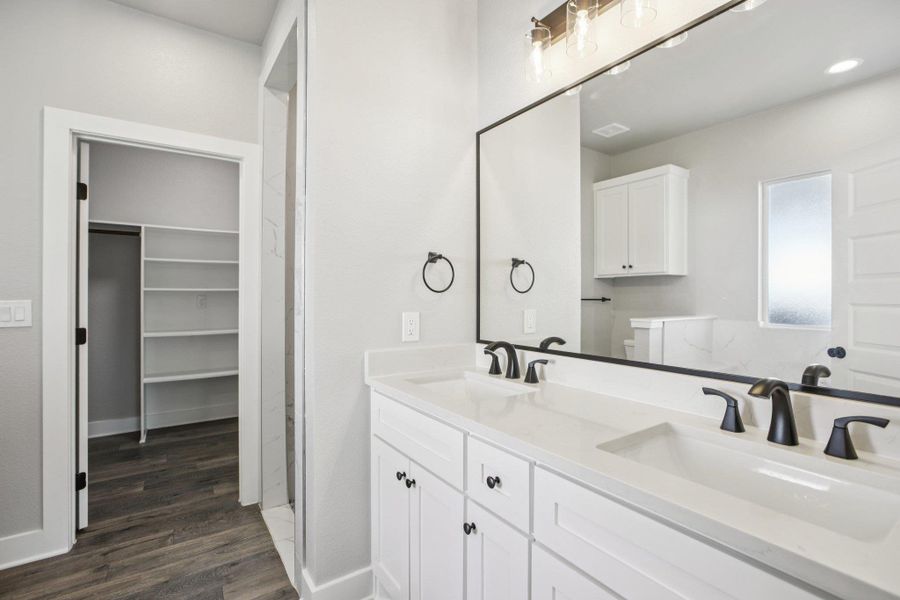 Bathroom featuring a walk in closet, double vanity, and dark wood-type flooring
