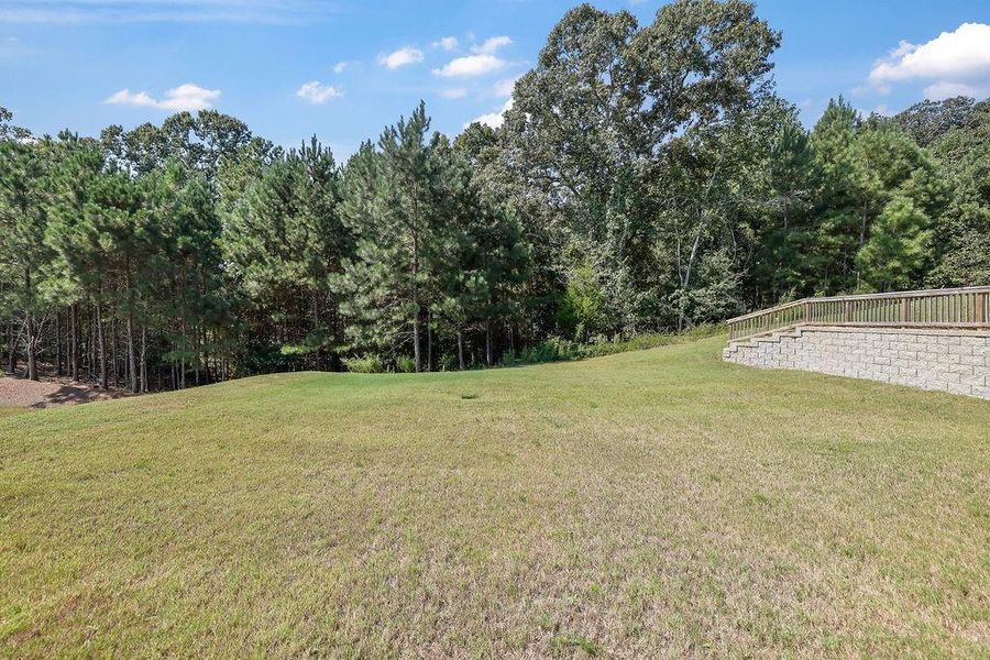 Natural landscape and outdoor views near  in Flowery Branch (Image 52).