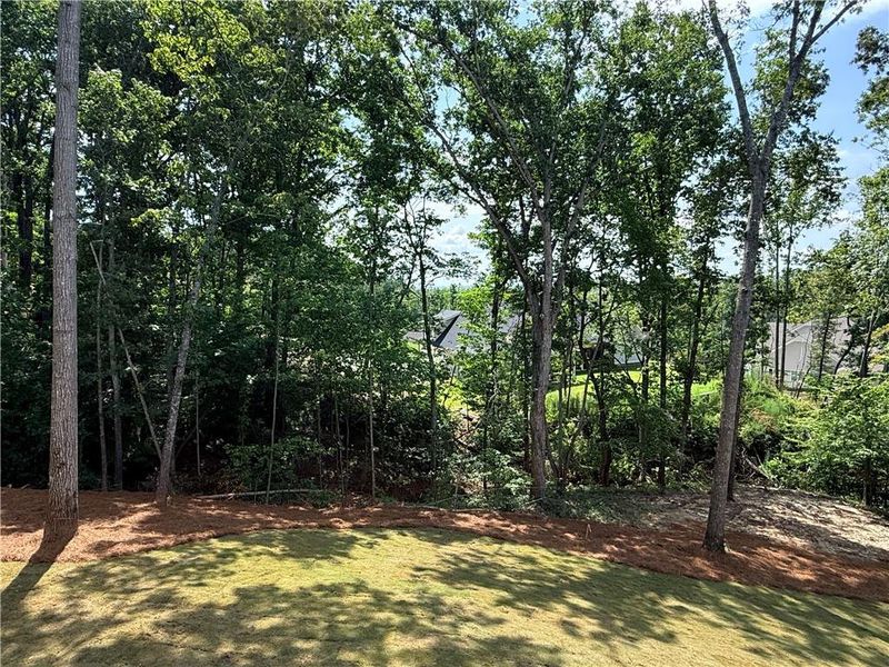Natural landscape and outdoor views near in Flowery Branch (Image 42). Natural landscape and outdoor views near in Flowery Branch (Image 42).
