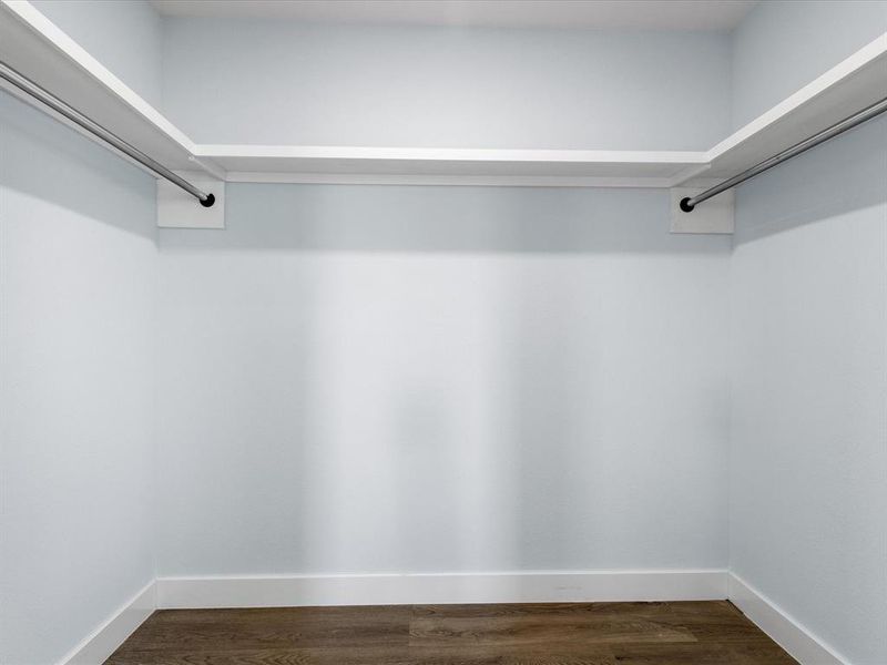 Walk in closet featuring dark wood-style floors