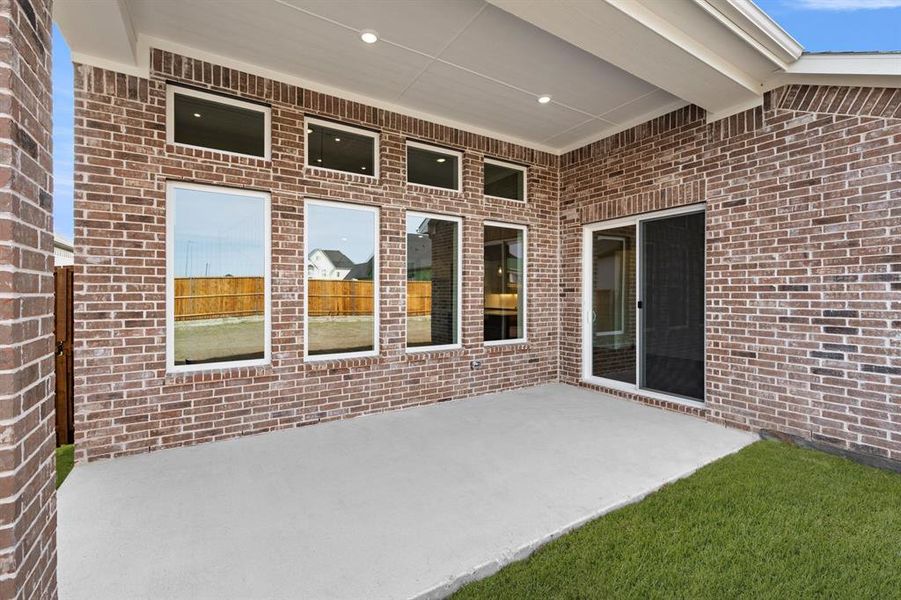 633 Bunchberry- Back-3