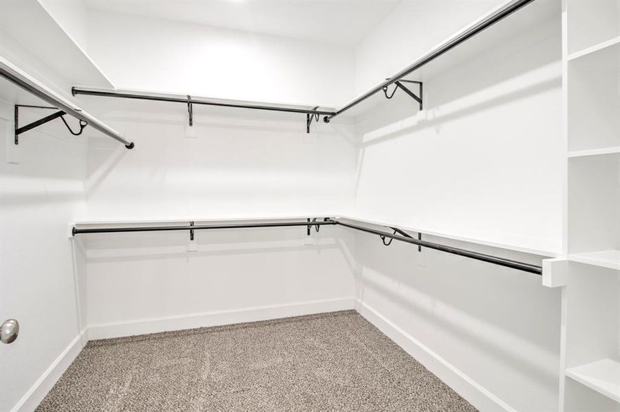 Spacious closet featuring light colored carpet
