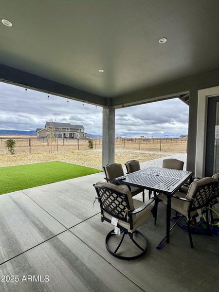 IMG_8246 (1) IMG_8246 (1)