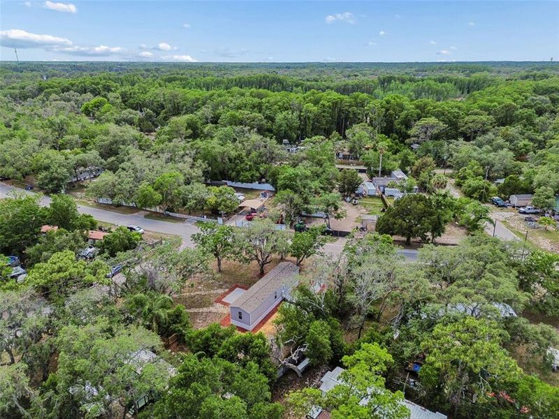 Natural landscape and outdoor views near  in New Port Richey (Image 33).
