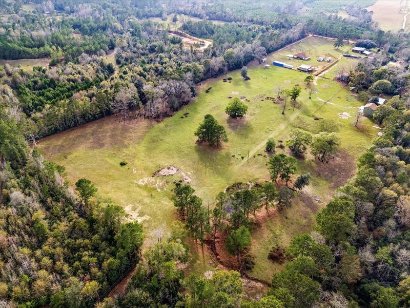 Natural landscape and outdoor views near  in Cleveland (Image 37).