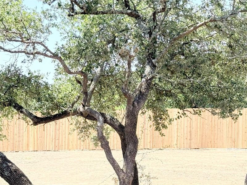Front exterior of a new home in , Copperas Cove, TX, highlighting curb appeal (Image 2).