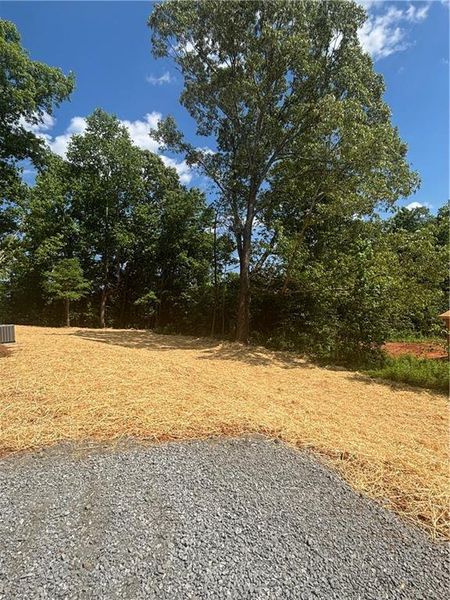 Natural landscape and outdoor views near  in Dahlonega (Image 10).