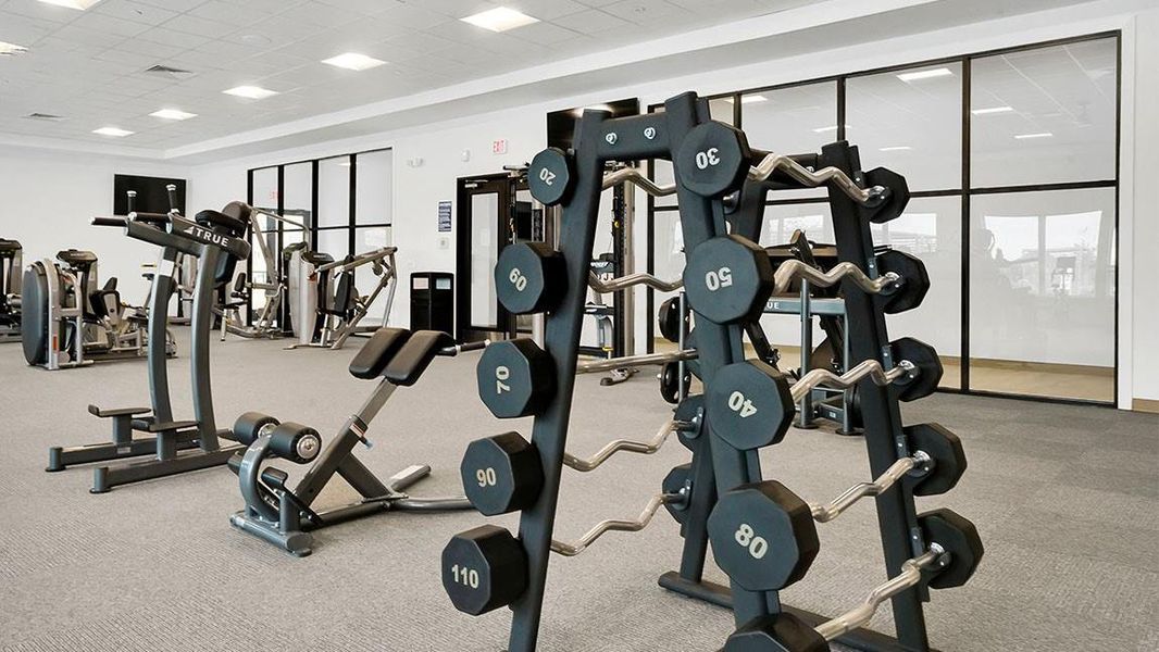 *Images and 3D tour are for illustration only and options may vary from home as built.