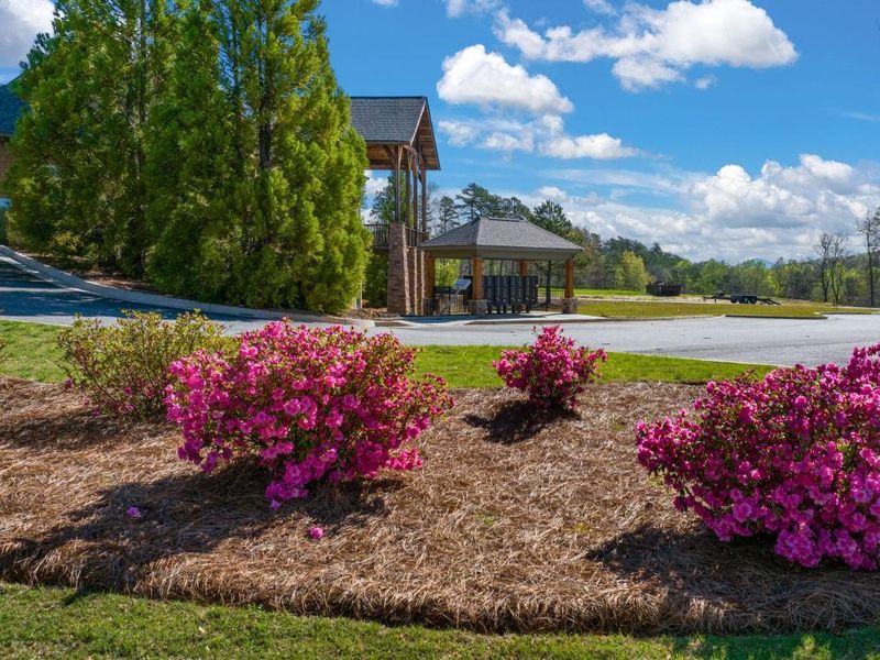 Image 31 of a home in Mountain Park.