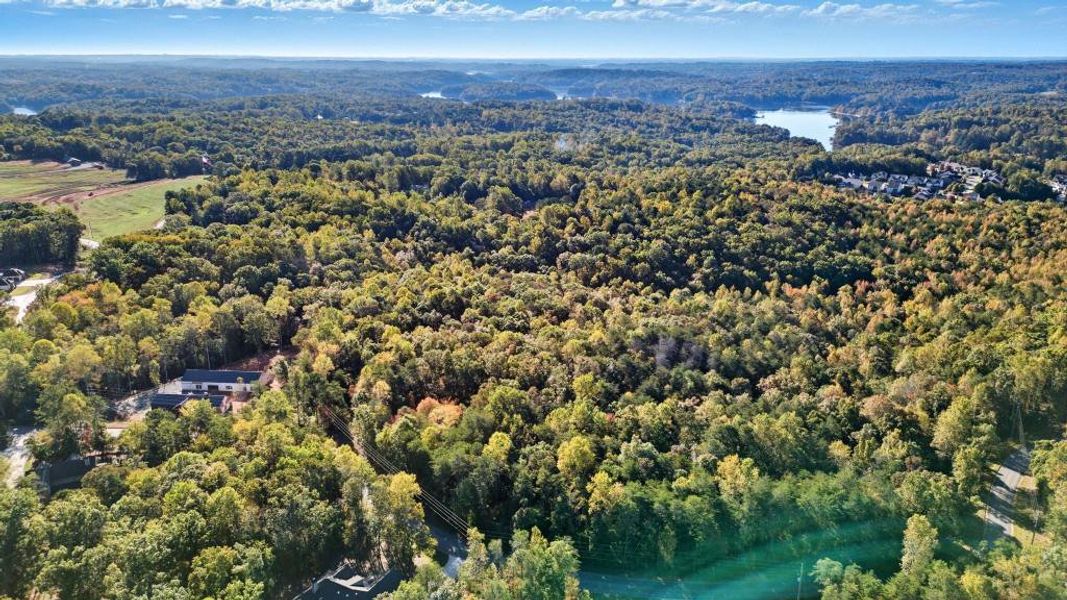 Natural landscape and outdoor views near  in Dawsonville (Image 33).