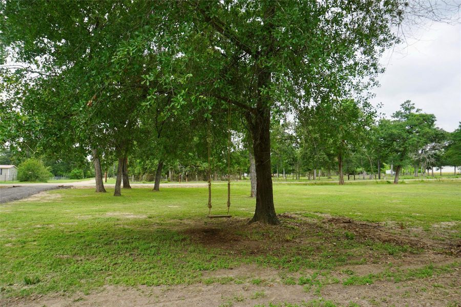 Natural landscape and outdoor views near  in Hempstead (Image 33).