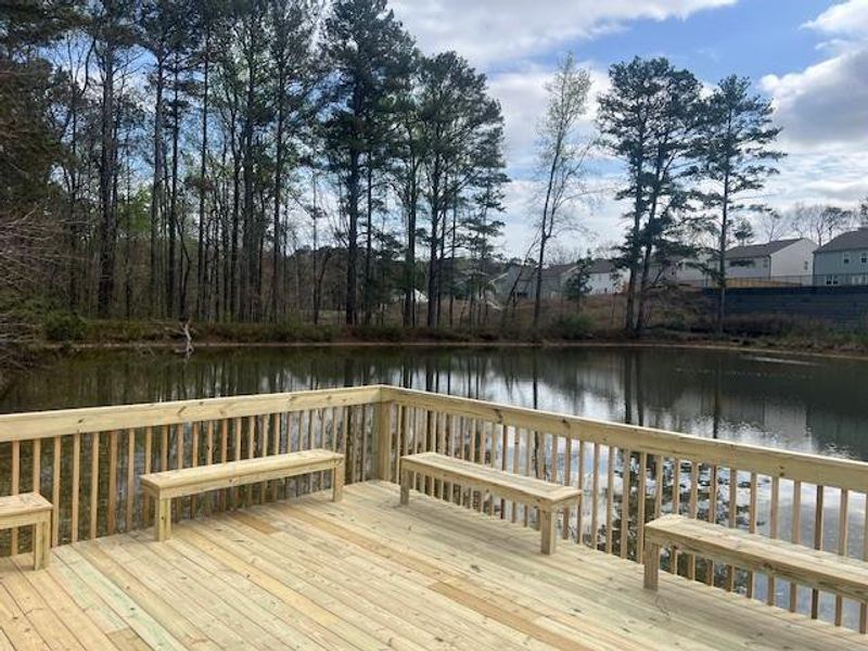 Community amenities in Riverside Ridge, Lawrenceville (Image 36).