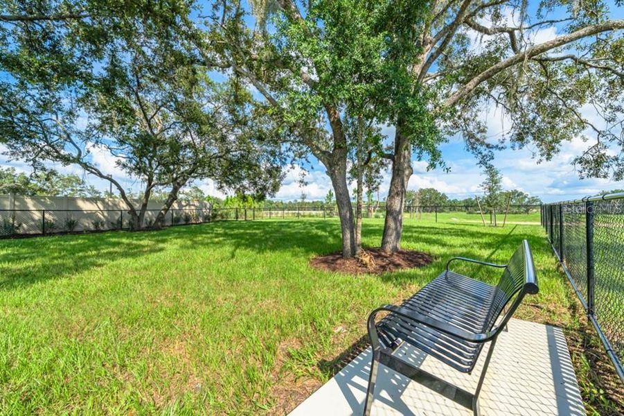 Natural landscape and outdoor views near Palm Wind in Hudson (Image 32).
