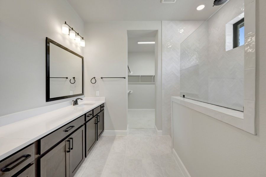 Owner's Bath