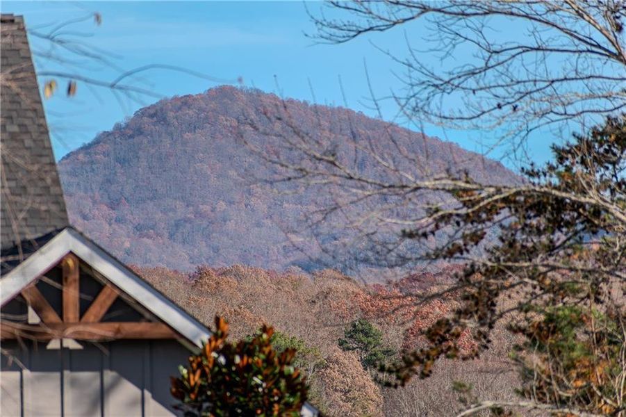 Natural landscape and outdoor views near  in Blairsville (Image 55).