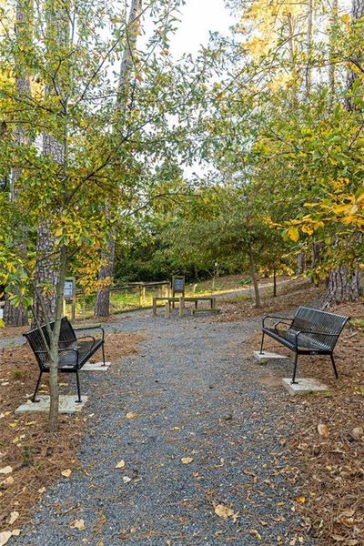 Natural landscape and outdoor views near  in Atlanta (Image 18).