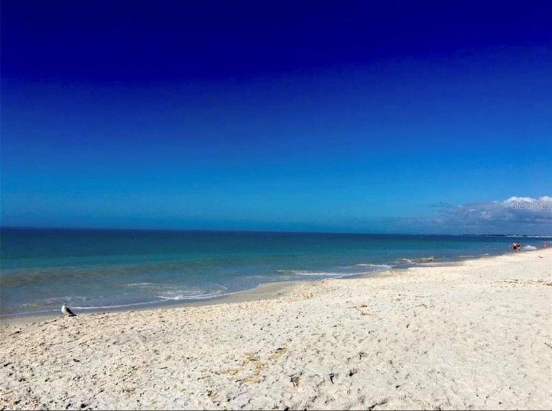 Natural landscape and outdoor views near  in North Port (Image 8).