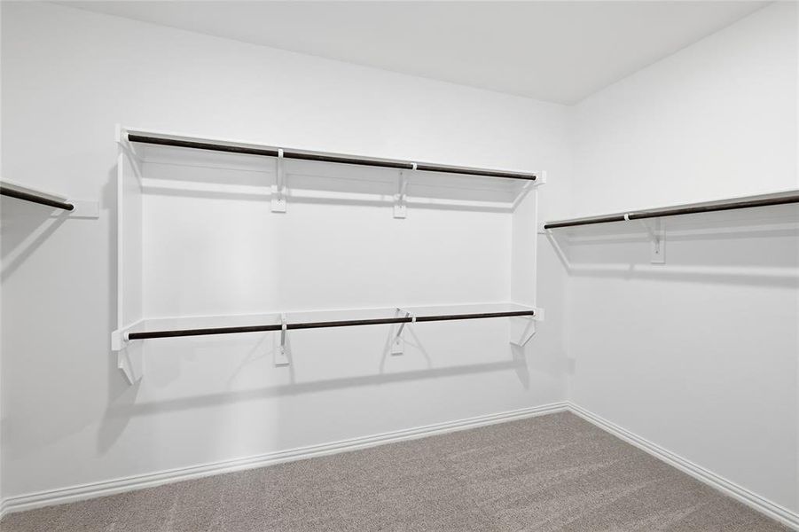 Spacious closet featuring white shelving and black hanging rods, gray carpet flooring, and white baseboards