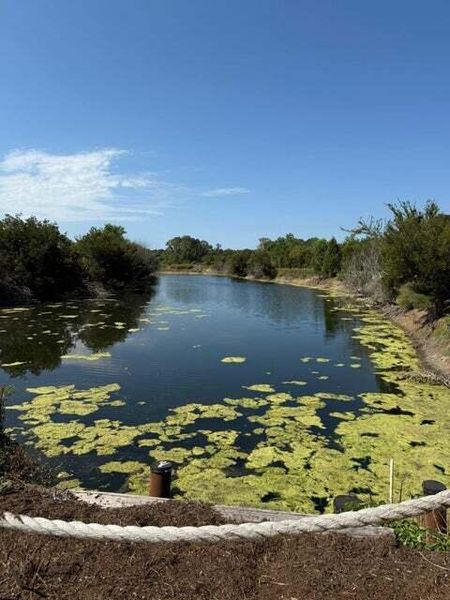 Natural landscape and outdoor views near  in Moncks Corner (Image 33).