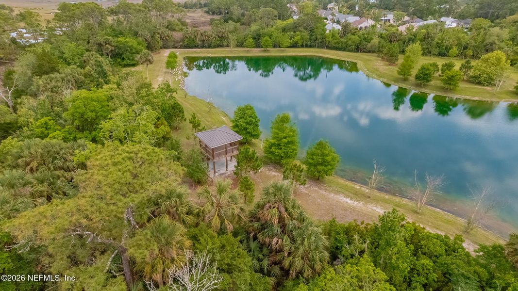 Natural landscape and outdoor views near Verano Creek in St. Augustine (Image 39).