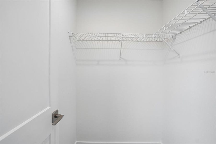 Spacious, unfurnished interior of a new home in Grasslands West, Lakeland (Image 28).