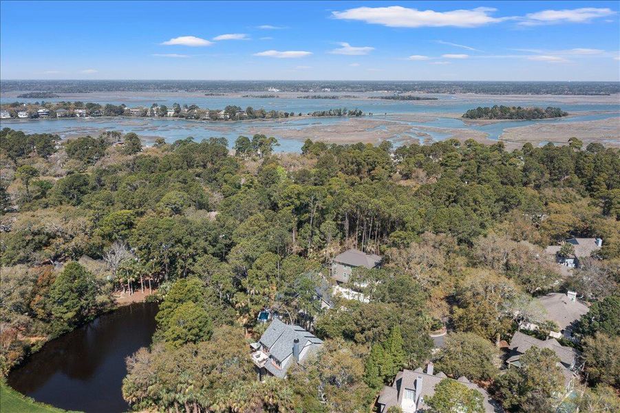 Natural landscape and outdoor views near  in Kiawah Island (Image 63).