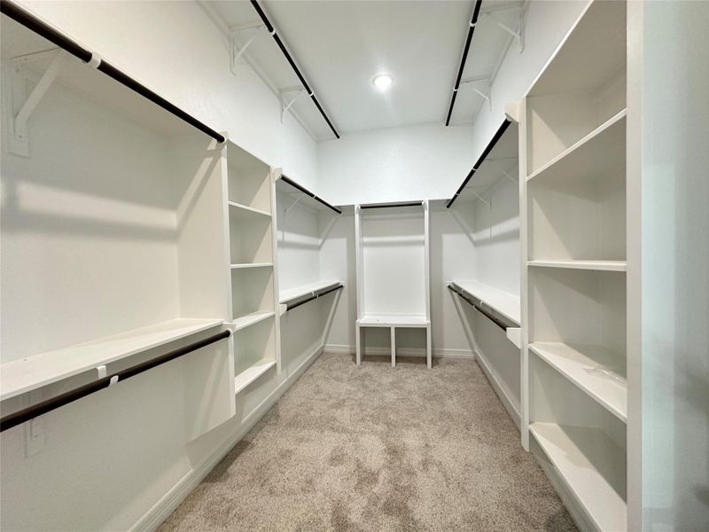 Spacious closet featuring light carpet